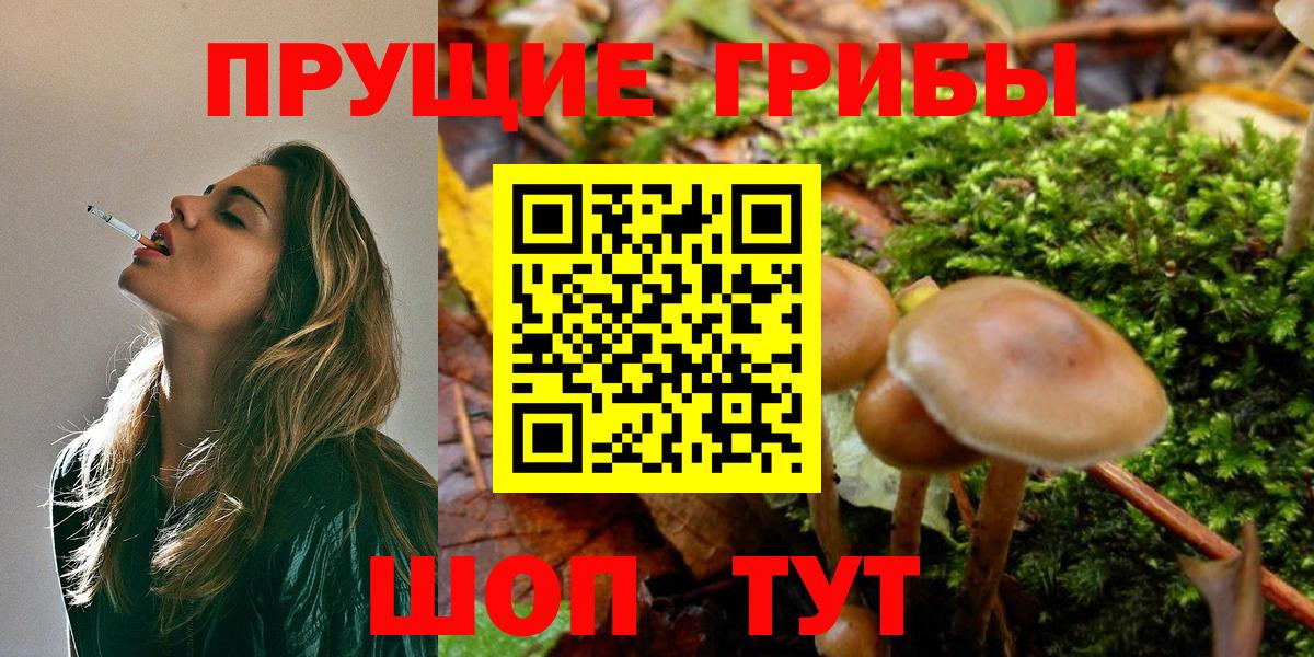 Галлюциногенные грибы Psilocybine cubensis  Вход с VPN  Гулькевичи  Галлюциногенные грибы Psilocybine cubensis 