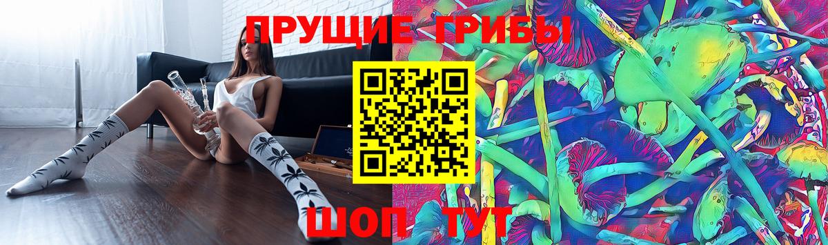 Галлюциногенные грибы прущие грибы Гулькевичи