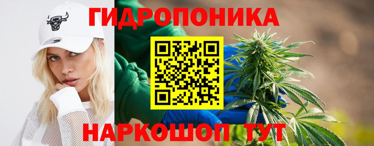 Канабис тримм  Канабис Bruce Banner  Гулькевичи  Каннабис VHQ  Вход с VPN 